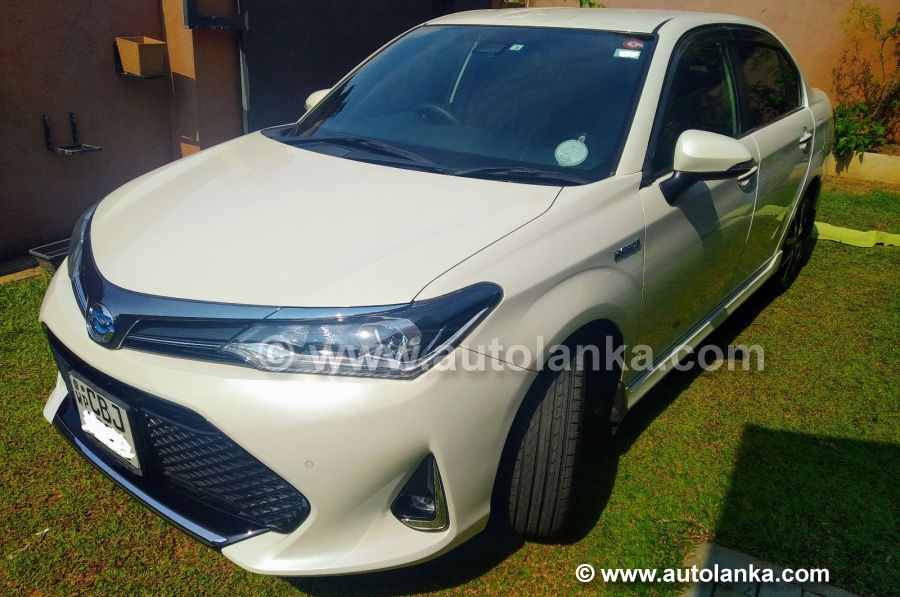 Toyota Axio WXB 2019