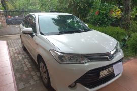 Toyota axio for sale