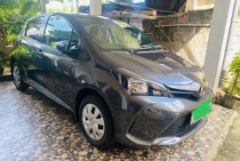 Vitz 2016