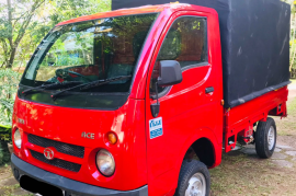 Tata Dimo Batta 2011 Lorry