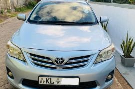 Toyota Corolla 141