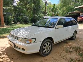 1999, Toyota, Corolla, Used