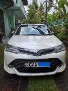2017, Toyota, Axio Hybrid, Used