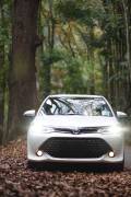 2017, Toyota, Axio Hybrid, Used