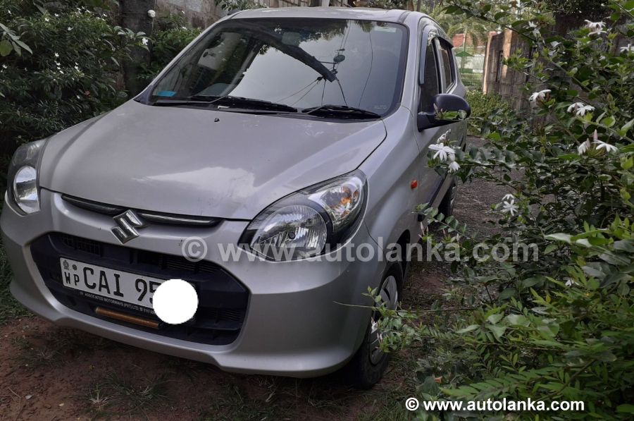 Alto 800