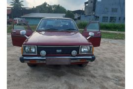 13- Nissan Sunny In Superb Running Condition