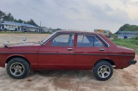 13- Nissan Sunny In Superb Running Condition